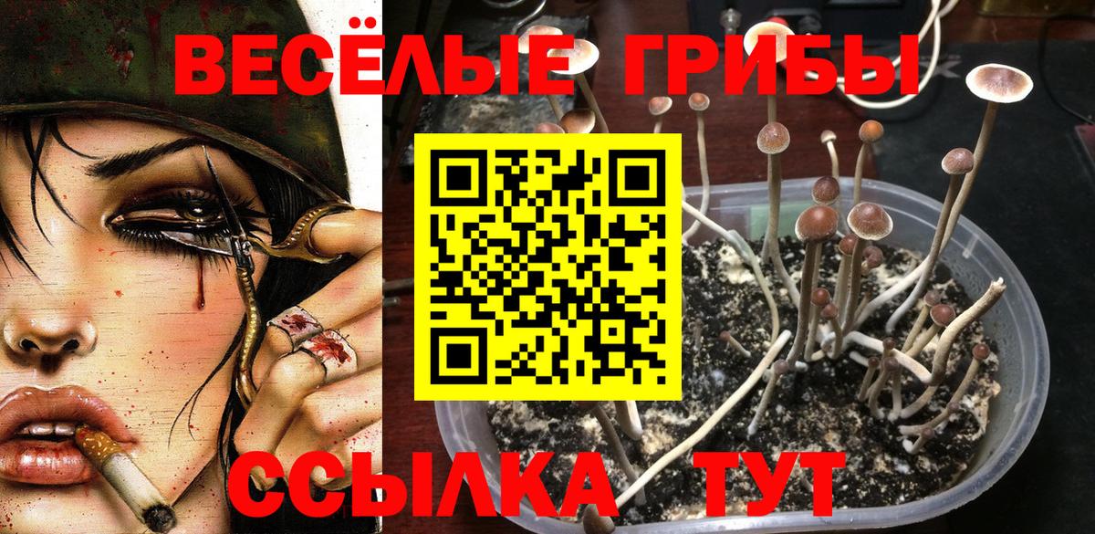 Галлюциногенные грибы Magic Shrooms  Вход с VPN  Сегежа 