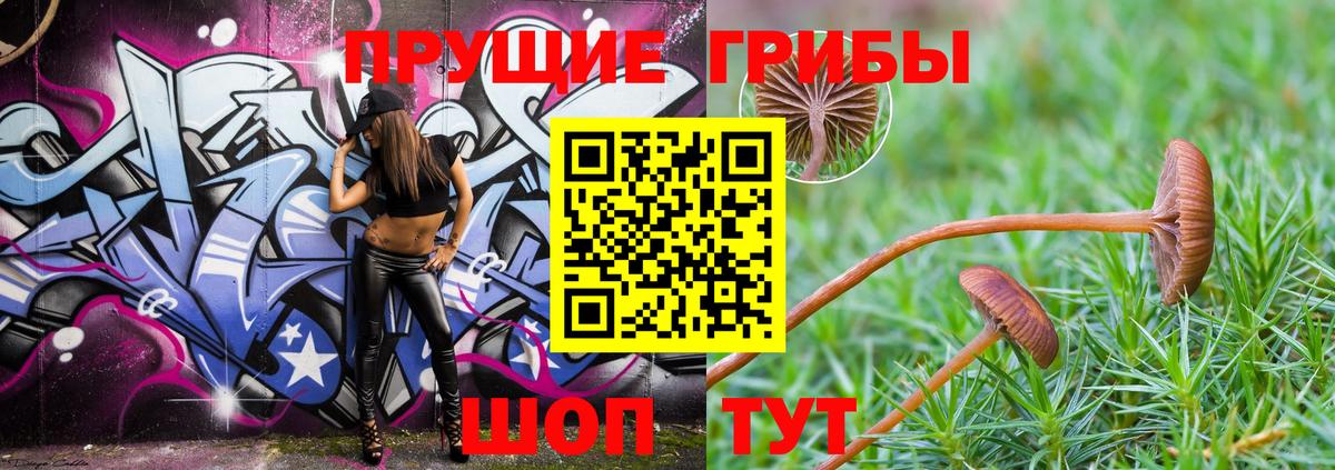 Галлюциногенные грибы Cubensis Сегежа